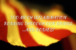 Diet image_TOO-MUCH-INFLAMMATION